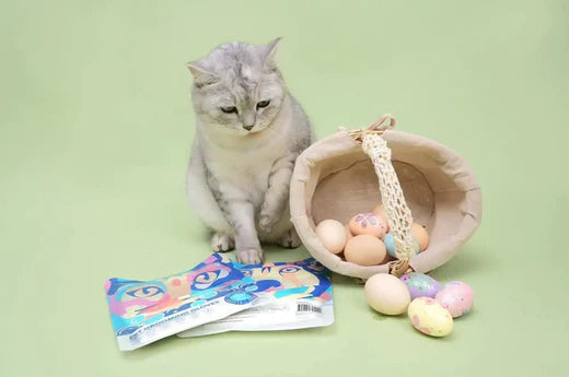 8 Cat Easter Basket Gift Ideas You Will Love HICC Pet