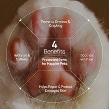HICC Pet® Paw Balm For Cats