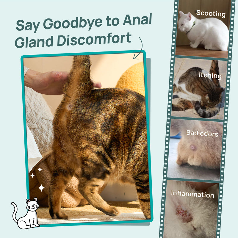 HICC Pet® Pet Anal Gland Wipes For Cats