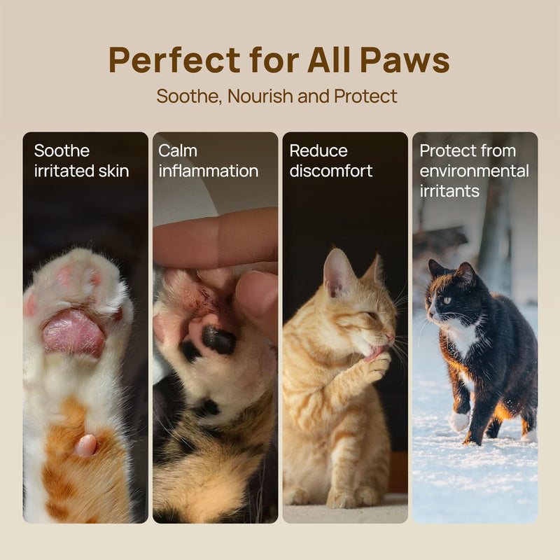HICC Pet® Paw Balm For Cats