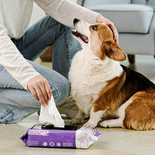 HICC Pet® Plant-Based Pet Wipes For Dogs, Bundle of 4