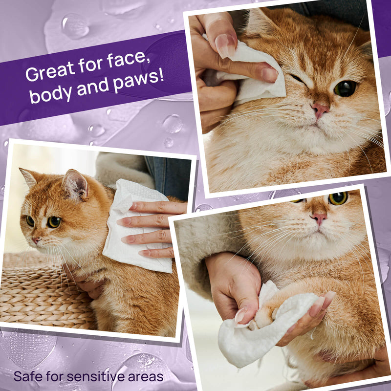 HICC Pet® Plant-Based Pet Wipes For Cats