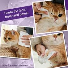 HICC Pet® Plant-Based Pet Wipes For Cats, Bundle of 4