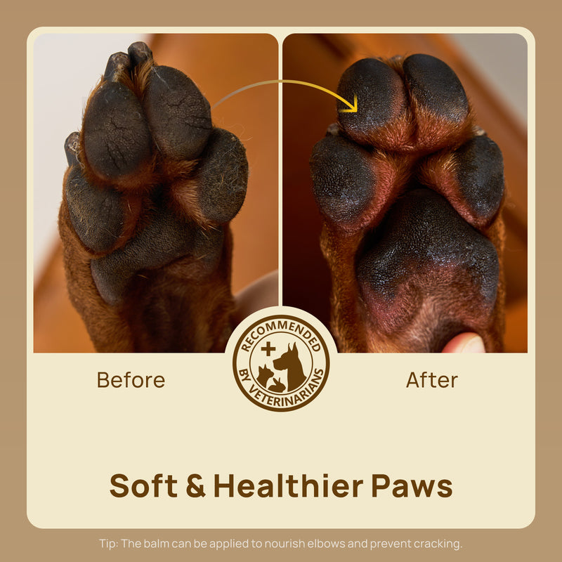 HICC Pet® Paw Balm For Dogs