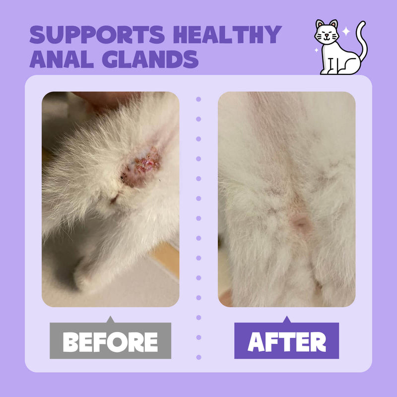 HICC Pet® Antimicrobial Pet Anal Gland Spray For Cats