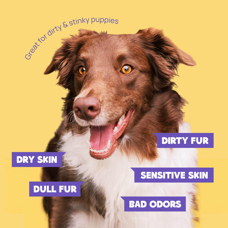 HICC Pet® Deodorizing Pet Glove Wipes For Dogs