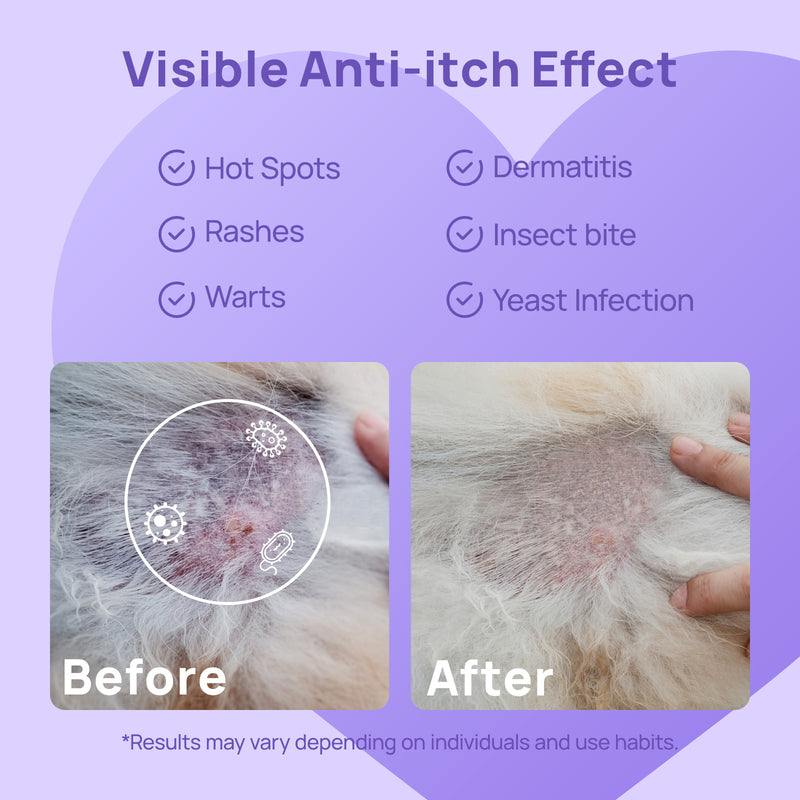 HICC Pet® 2X Power Pet Wound & Antimicrobial Spray For Cats, 10.1 Fl Oz