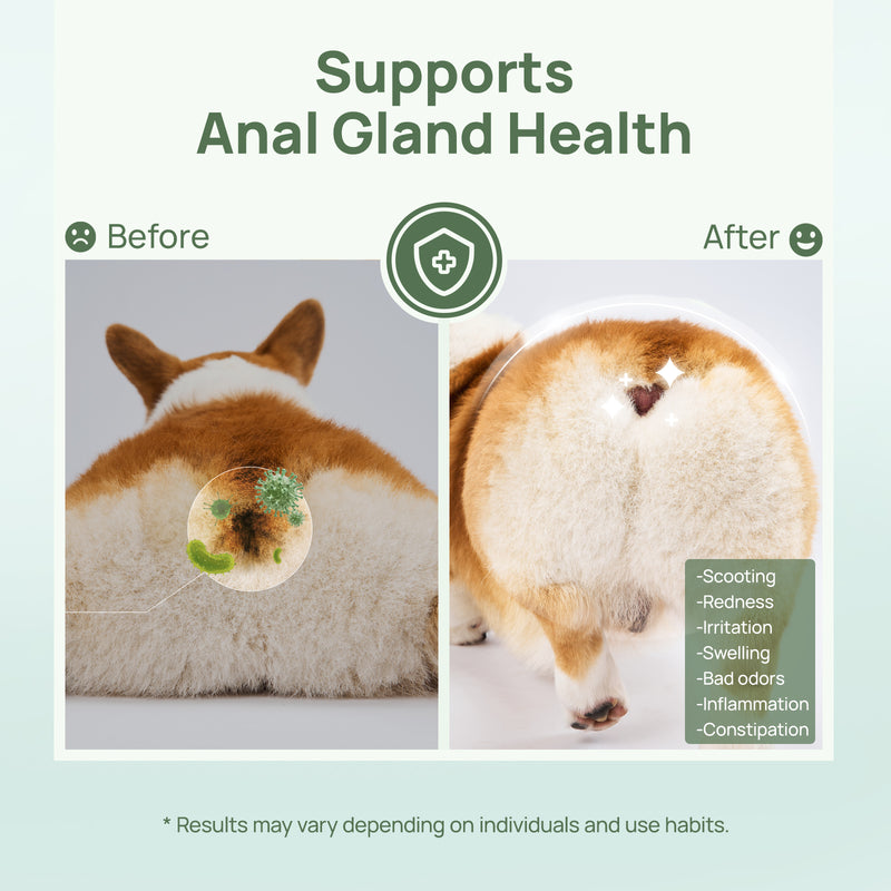 HICC Pet® Pet Anal Gland Wipes For Dogs