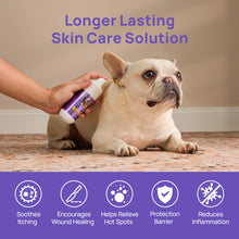 HICC Pet® Pet Wound & Skin Care Antimicrobial Hydro Gel For Dogs