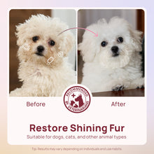 HICC Pet® Plant-Based Pet Wipes For Cats