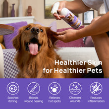 HICC Pet® Pet Skin Care Spray For Cats, 16 Fl Oz