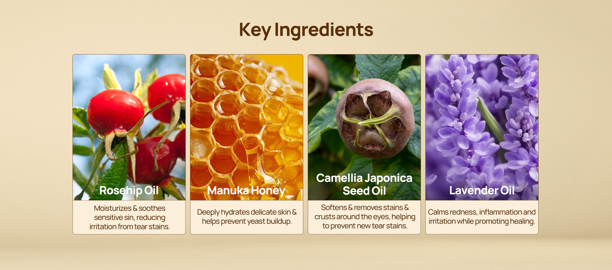 Ingredients