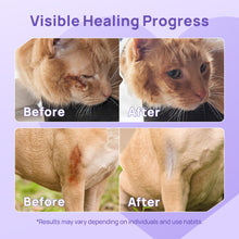 HICC Pet® Pet Wound & Skin Care Antimicrobial Hydro Gel For Cats