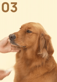 How to use