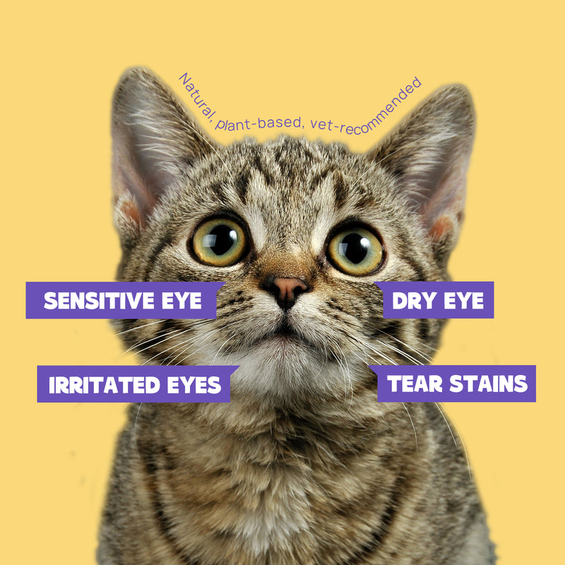 HICC Pet® Hypoallergenic Pet Eye Wipes For Cats