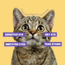 HICC Pet® Hypoallergenic Pet Eye Wipes For Cats