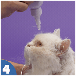 How to use