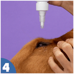 How to use
