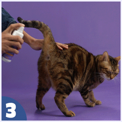 How to use