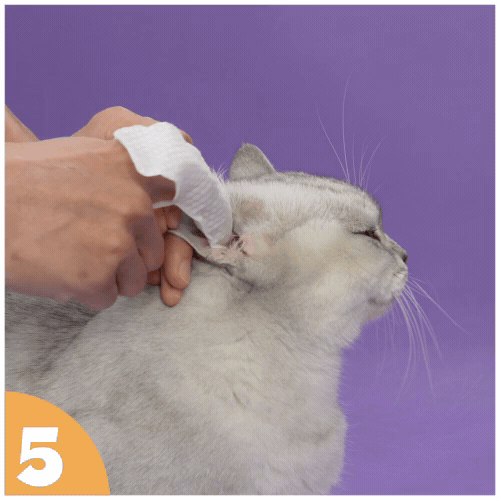How to use