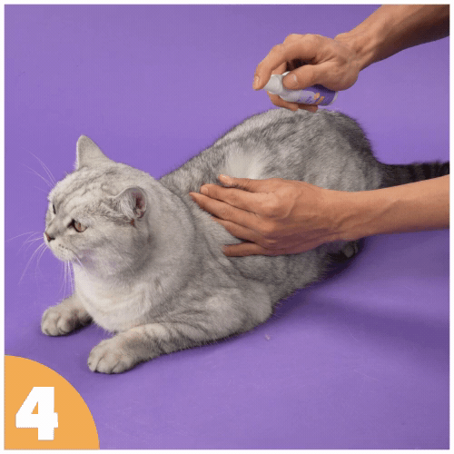 How to use