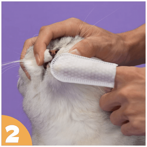 How to use