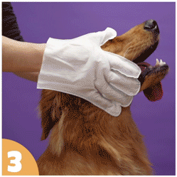 How to use
