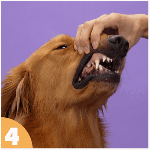 How to use