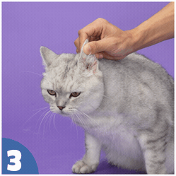 How to use