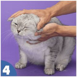 How to use