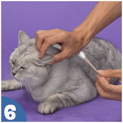 How to use