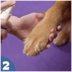 How to use