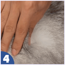 How to use