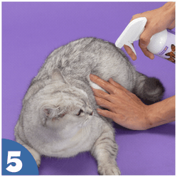 How to use