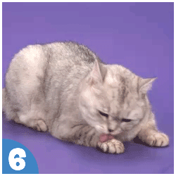 How to use