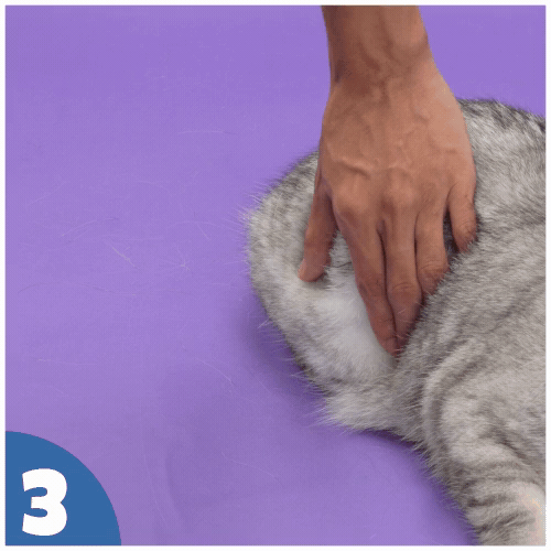 How to use
