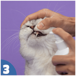 How to use