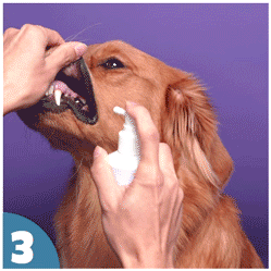 How to use