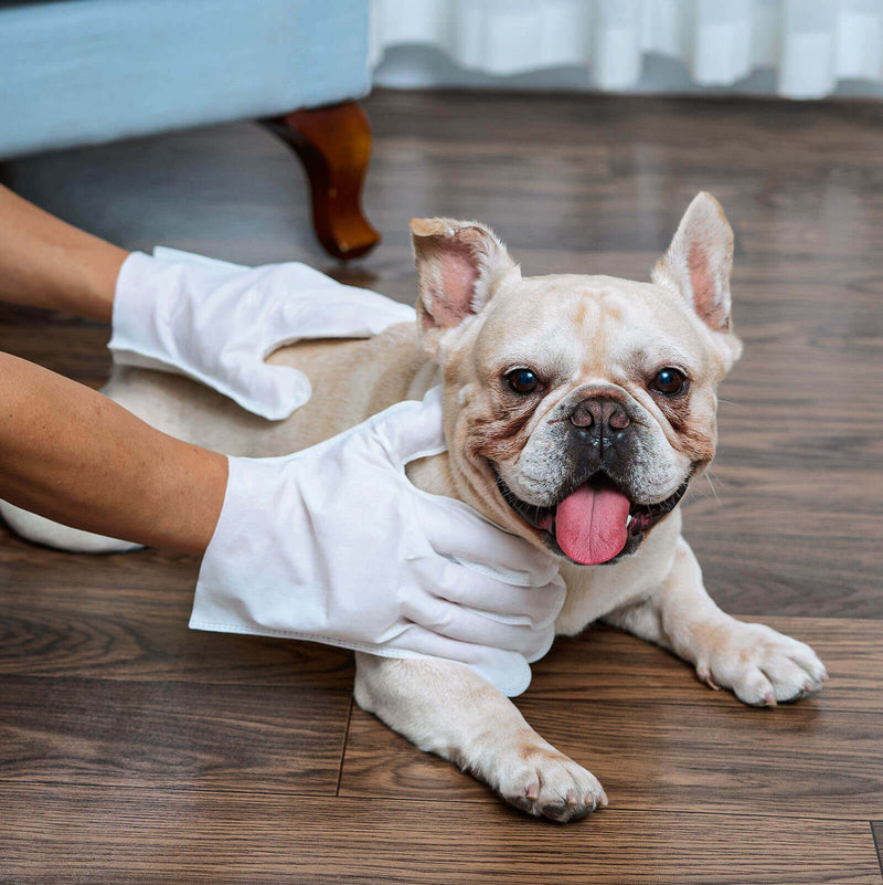 HICC Pet® Hypoallergenic Pet Glove Wipes For Dogs
