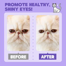 HICC Pet® Gentle Antimicrobial Pet Eye Rinse For Cats