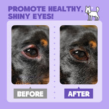 HICC™ Gentle Antimicrobial Pet Eye Rinse For Dogs
