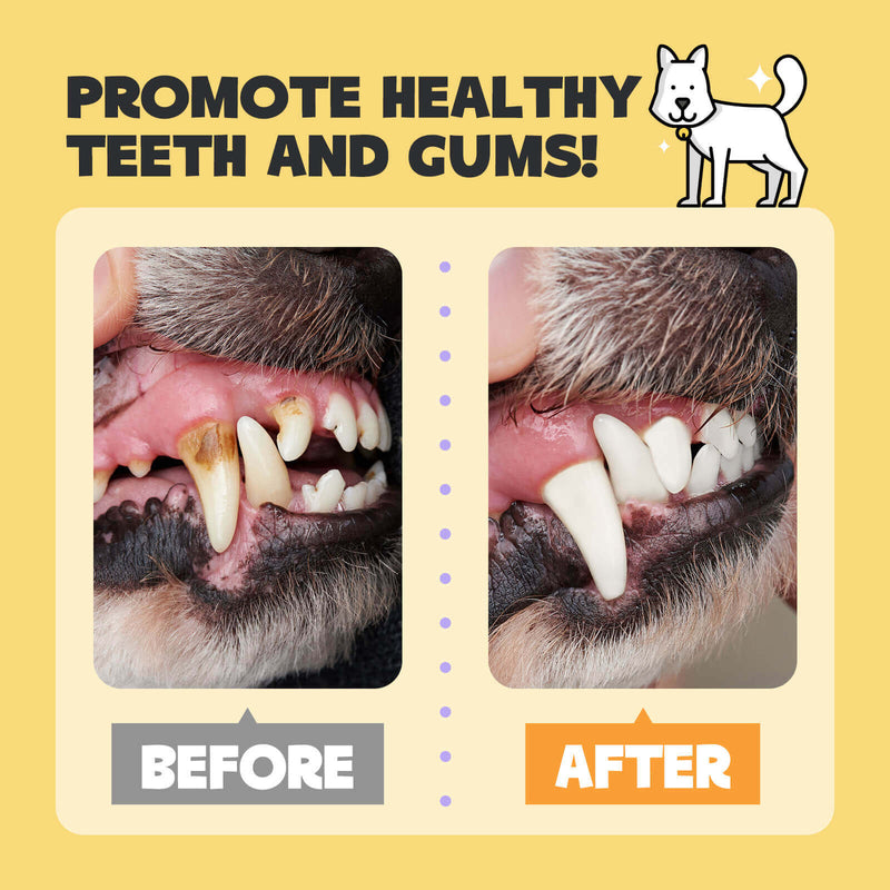 HICC Pet® Pet Dental Finger Wipes For Dogs, Bundle of 2