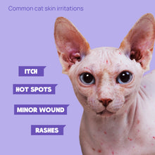 HICC Pet® Pet Skin Care Spray For Cats, 3.4 Fl Oz