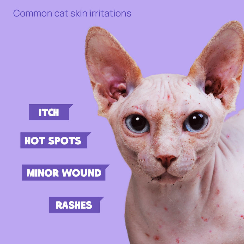 HICC Pet® Pet Skin Care Spray For Cats, 16 fl oz