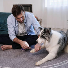 HICC Pet® Pet Skin Care Spray For Dogs, 16 Fl Oz