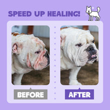 HICC Pet® Pet Skin Care Spray For Dogs, 16 Fl Oz