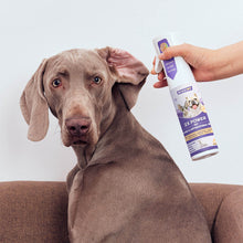 HICC Pet® 2X Power Pet Wound & Antimicrobial Spray For Dogs, 10.1 Fl Oz