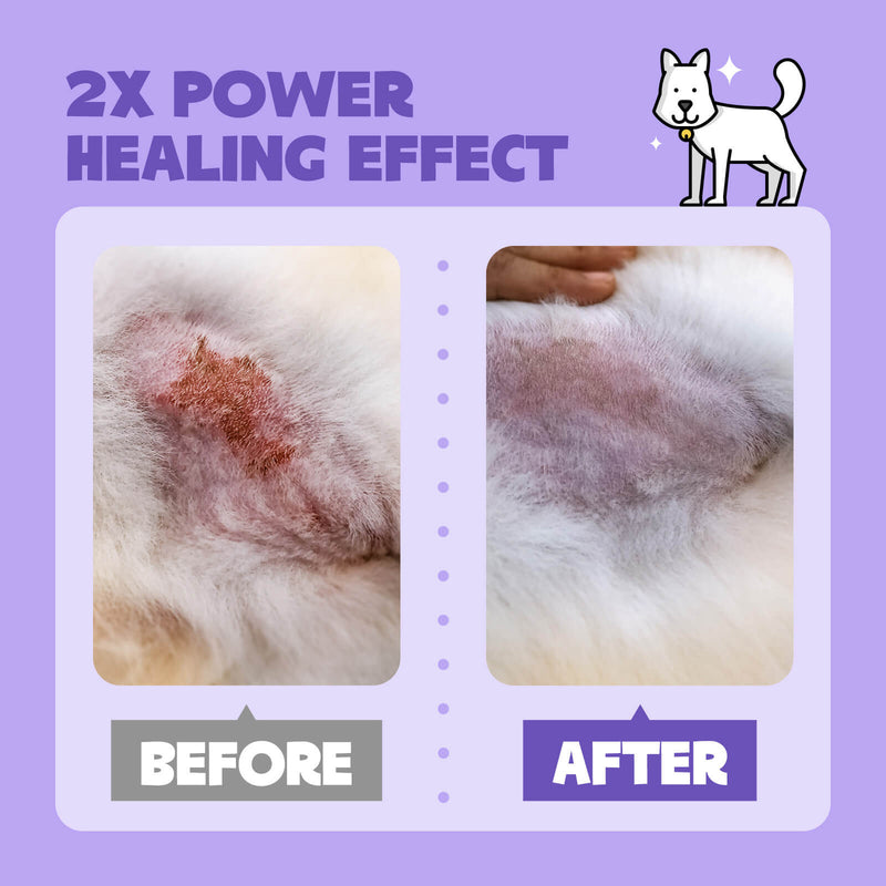 HICC Pet® 2X Power Pet Wound & Antimicrobial Spray For Dogs, 10.1 Fl Oz