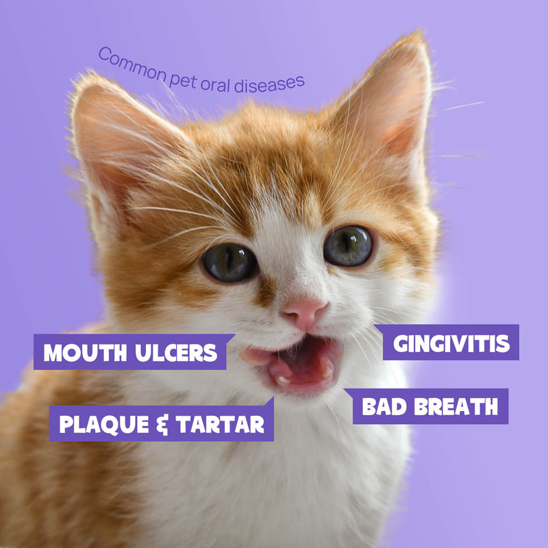 HICC Pet® Pet Oral Care Spray For Cats