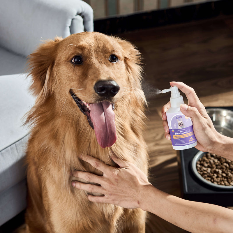 HICC Pet® Pet Oral Care Spray For Dogs